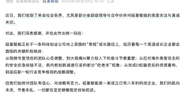 硅基智能疑似回应全员裁员争议：预计全年新增岗位数百个|界面新闻 · 科技