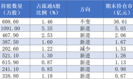 重仓寒武纪浮盈超50亿？知名游资章建平中报还持有这些股票|界面新闻