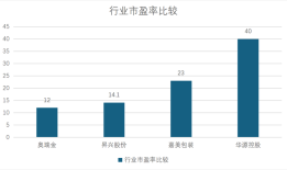 财说丨40倍市盈率幻象下，华源控股失速的营收与化工罐困局|界面新闻 · 证券