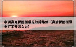 宇润赛克保险柜常见故障维修（赛盾保险柜没电打不开怎么办）