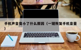 手机声音变小了什么原因（一键恢复手机音量）