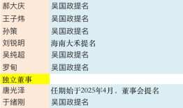 *ST金泰第一大股东终于挤入董事会，三大风险未解|界面新闻 · 证券