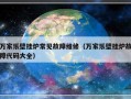 万家乐壁挂炉常见故障维修（万家乐壁挂炉故障代码大全）