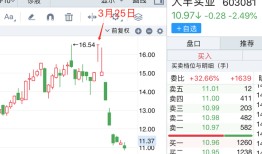 【评论】大丰实业股价过山车背后，市场需要更详细的信披|界面新闻 · 证券