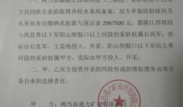 追踪｜甘肃两当县拍卖国家保护区内标段致合同终止，投资人诉水务局获立案|界面新闻 · 中国