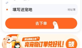 滴滴快送宠物专送：为宠物商家节省成本 扩大服务范围|界面新闻