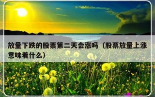 放量下跌的股票第二天会涨吗（股票放量上涨意味着什么）