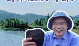 欧诗漫做抖音，拿出了从前请明星拍电视广告的力气|界面新闻 · 时尚