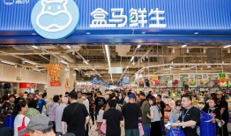 盒马双业态加速扩张，非一线市场成为新增长极|界面新闻