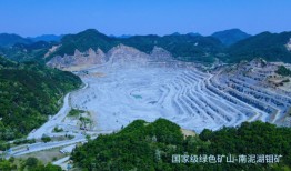 盛龙股份冲深市主板：钼金属产量占全国近1/10，今年业绩面临多重挑战|界面新闻 · 证券