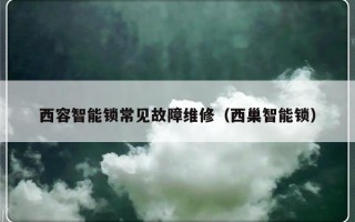 西容智能锁常见故障维修（西巢智能锁）