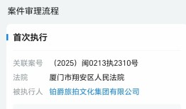 铂爵旅拍成为被执行人，被冻结股权数额已超6700万元|界面新闻