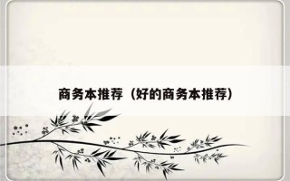 商务本推荐（好的商务本推荐）
