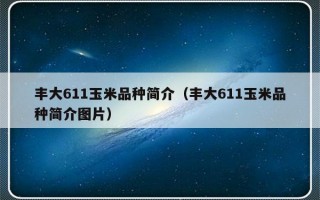 丰大611玉米品种简介（丰大611玉米品种简介图片）
