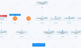 【深度】威龙股份跨界梦碎，90后实控人为何身陷挪资案？|界面新闻 · 证券