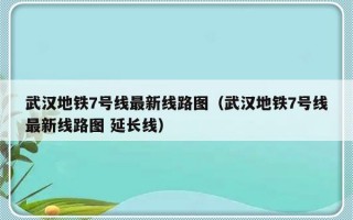 武汉地铁7号线最新线路图（武汉地铁7号线最新线路图 延长线）