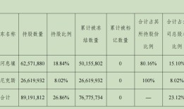 【深度】威龙股份跨界梦碎，90后实控人为何身陷挪资案？|界面新闻 · 证券