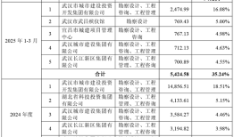 财说| 武汉控股16亿关联并购疑云|界面新闻 · 证券