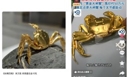 售价50万元的“黄金大闸蟹”被指侵权，山姆涉事门店紧急下架|界面新闻