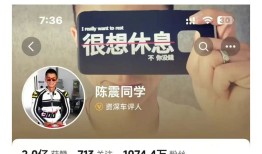 超2400万粉丝车评人陈震被全网禁言，偷税追缴并罚共247.48万元|界面新闻 · 汽车