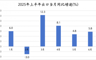 上半年我国出口同比增长5.9%，韧性来自哪里？|界面新闻