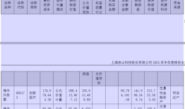 财说| 岩山科技AI业务收入暴跌72%，靠炒股撑起500亿市值？|界面新闻 · 证券