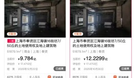 打五六折甩卖仍无人问津，富力奉贤万达广场二次流拍|界面新闻 · 地产