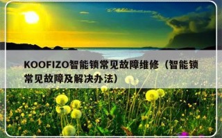 KOOFIZO智能锁常见故障维修（智能锁常见故障及解决办法）