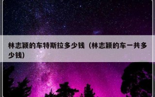 林志颖的车特斯拉多少钱（林志颖的车一共多少钱）
