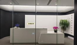 复牌即涨停、新东家称不会“借壳”，天普股份和中昊芯英在下一盘怎么样的棋？|界面新闻 · 证券