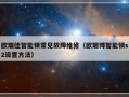 欧瑞佳智能锁常见故障维修（欧瑞博智能锁s2设置方法）