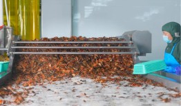 小龙虾退潮，预制菜公司“裸奔”|界面新闻