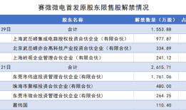 赛微微电18%股份遭清仓减持，控制权“隐雷”埋下|界面新闻 · 证券