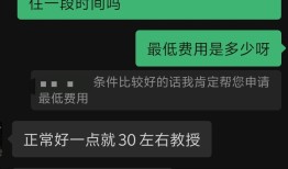 河南郏县“苏东坡文化”投资项目停滞陷争议，发起人“外籍院士”是何身份？|界面新闻 · 中国