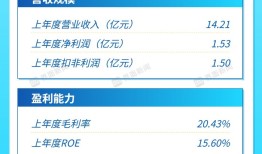 打新早报| 宝马新能源驱动电机核心供应商申购在即，估值低于行业均值|界面新闻 · 证券