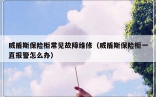 威盾斯保险柜常见故障维修（威盾斯保险柜一直报警怎么办）