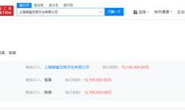 王思聪名下熊猫互娱被执行1210万，此前公司已破产|界面新闻 · 科技