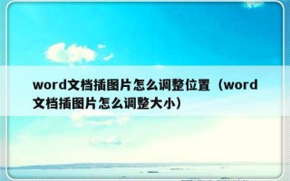 word文档插图片怎么调整位置（word文档插图片怎么调整大小）