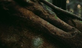 趣味台灯看起来像话筒，乐高推出盆栽积木｜是日美好事物|界面新闻 · 时尚