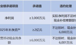 财说| 时间换空间的赌局：澳洋健康资产负债率高达92.58%|界面新闻 · 证券