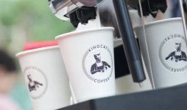 “植脂末大王”佳禾食品做咖啡自救|界面新闻