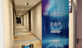 直击*ST新潮临时股东大会：中小股东“助攻”伊泰系上位，混乱能否终结？|界面新闻 · 证券