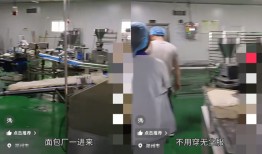 桃李、豪士等畅销面包频现发霉异物问题｜315特别报道|界面新闻