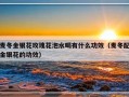麦冬金银花玫瑰花泡水喝有什么功效（麦冬配金银花的功效）