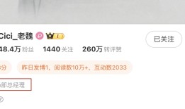 接替王腾任小米中国区市场部总经理，魏思琪微博认证已变更|界面新闻 · 科技