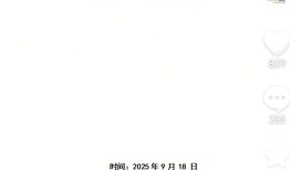 胖东来回应酥饼10号揽收11号生产：快递员未按标准发货流程执行|界面新闻