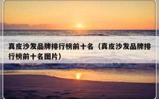 真皮沙发品牌排行榜前十名（真皮沙发品牌排行榜前十名图片）