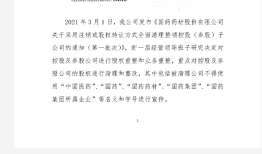 国药药材新欠华仁药业13.5亿后，国药集团再发声明“打假”|界面新闻
