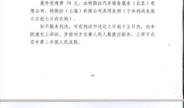 “车顶维权”女车主首次胜诉，特斯拉被判提供完整行车数据|界面新闻 · 汽车