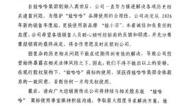 宗馥莉若启用新品牌“娃小宗”是否太冒险？|界面新闻